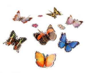 Butterfly-Garden-Gift-Set6