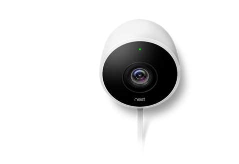 nest