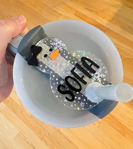 stanley quencher