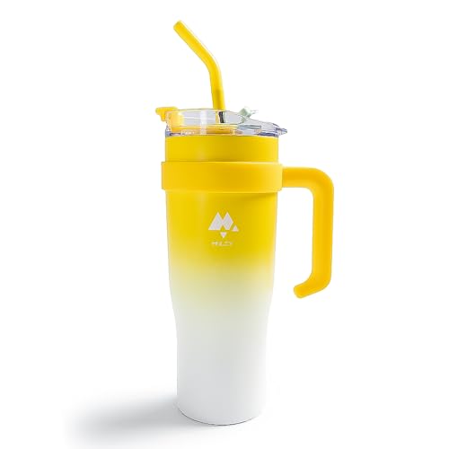 stanley quencher