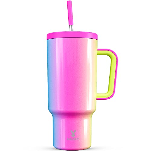 stanley quencher