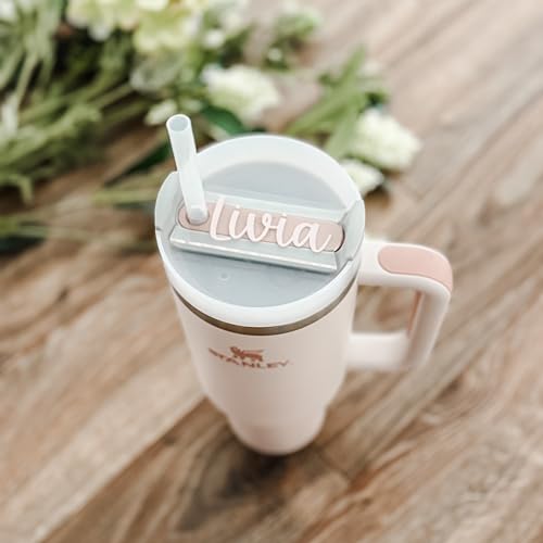 stanley quencher
