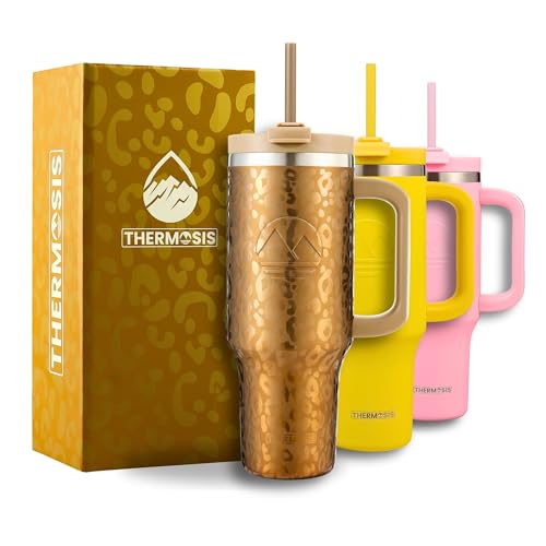 stanley quencher