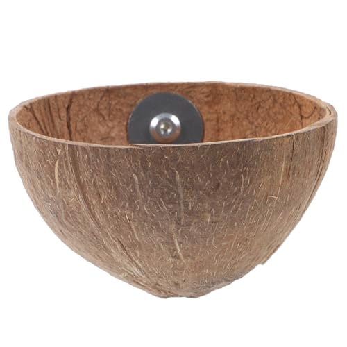 nest