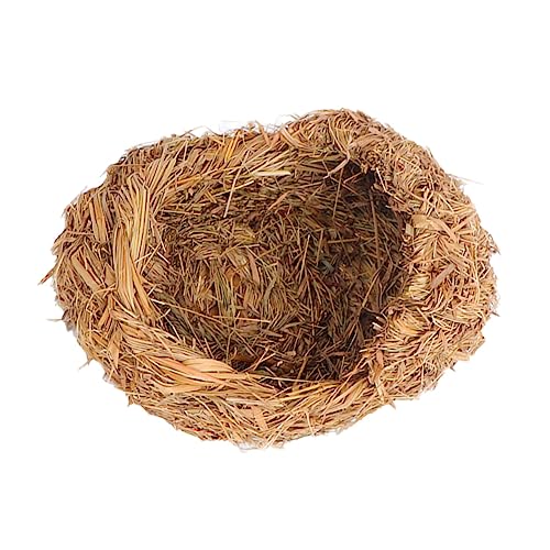 nest