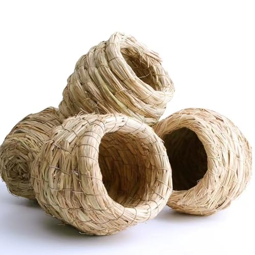 nest