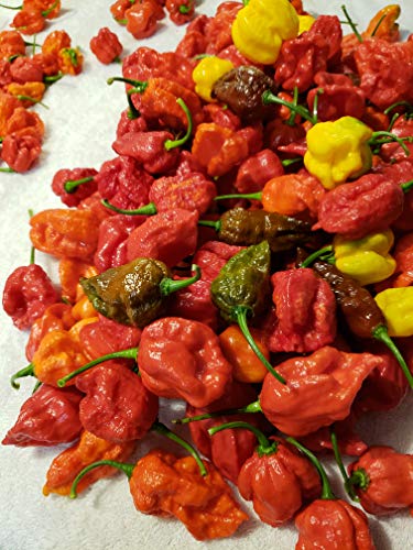 wicked tickle hot sauce