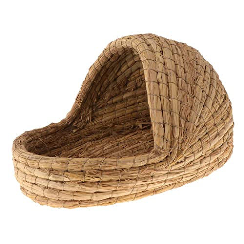 nest