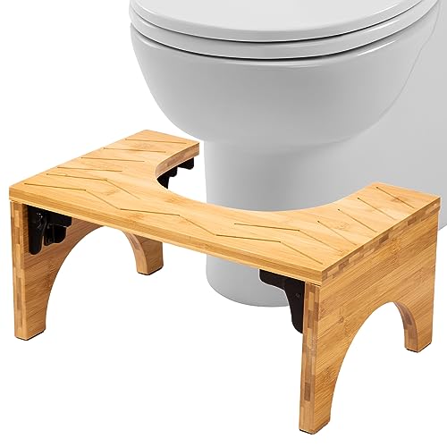 squatty potty haiku