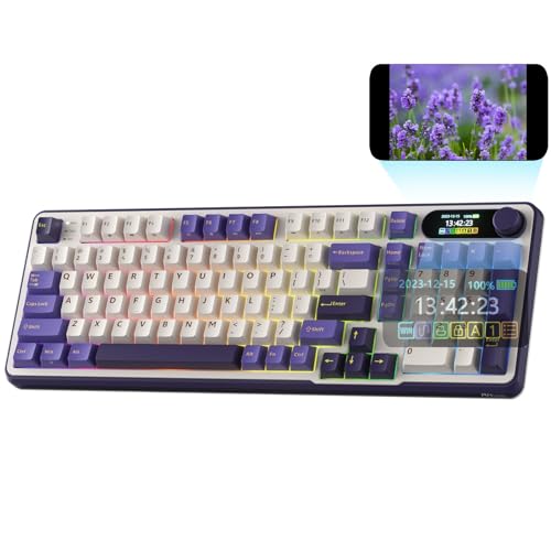 Mechanical Keyboard