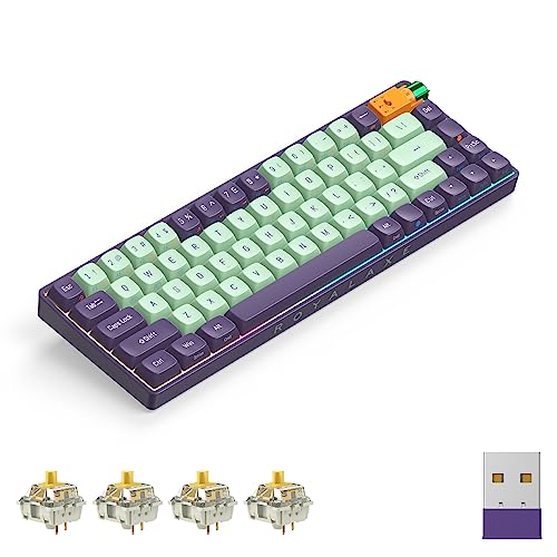 Mechanical Keyboard