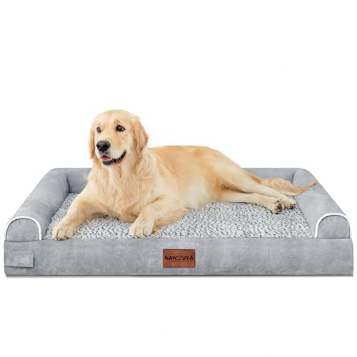 dog bed