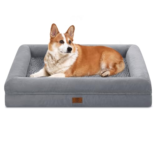 dog bed