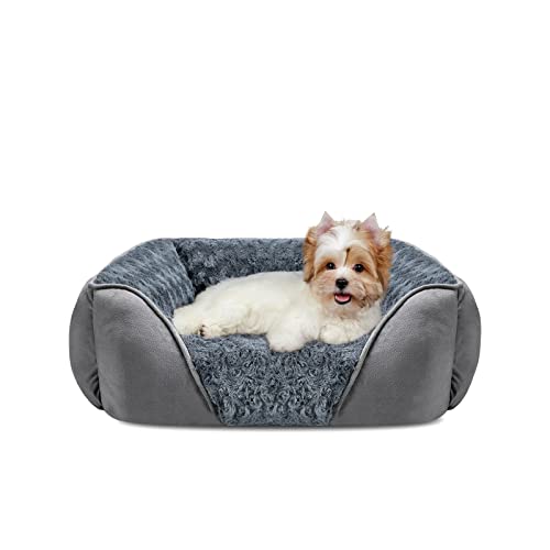 dog bed