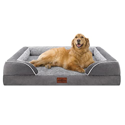 dog bed