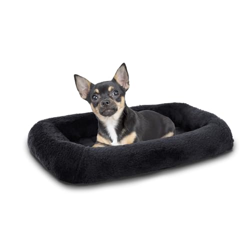dog bed