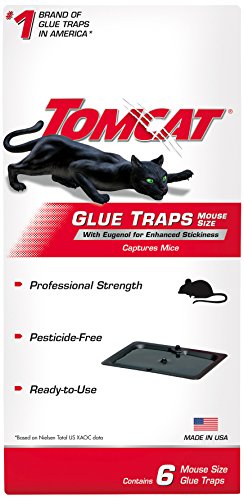 pest glue traps