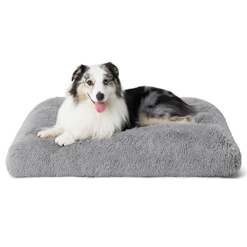 dog bed