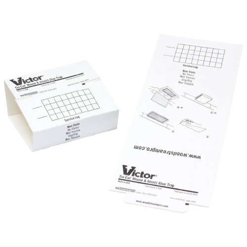 pest glue traps
