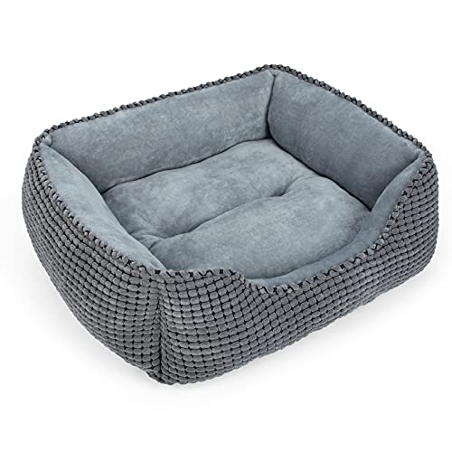 dog bed