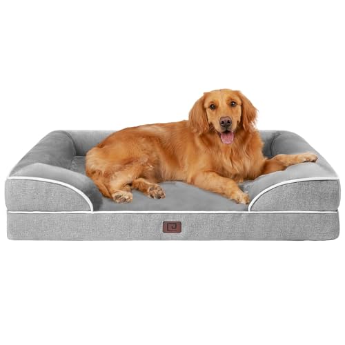 dog bed