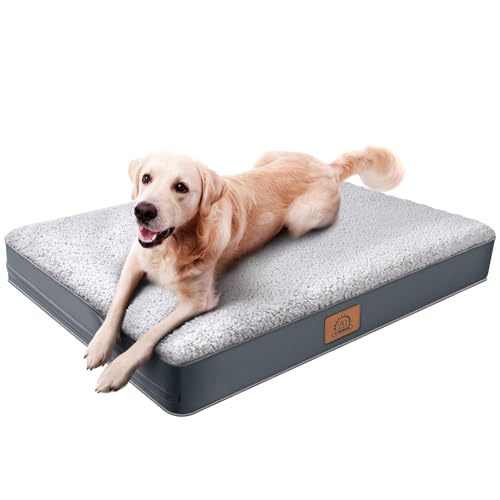 dog bed