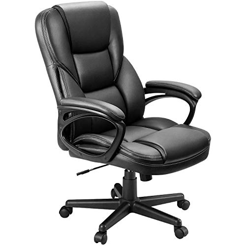 Executive Office Chair