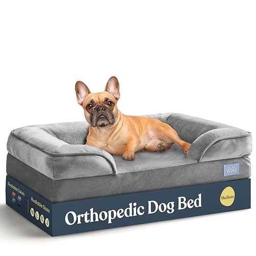 dog bed