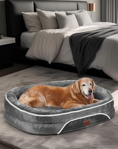 dog bed