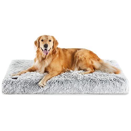 dog bed