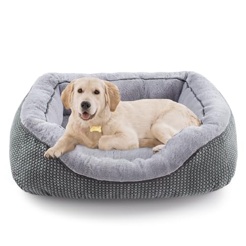 dog bed