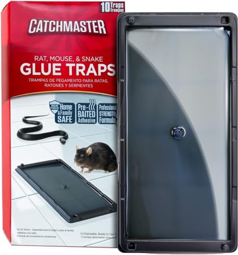 pest glue traps