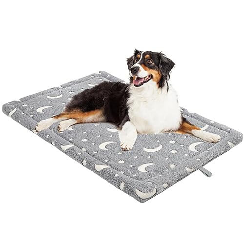 dog bed