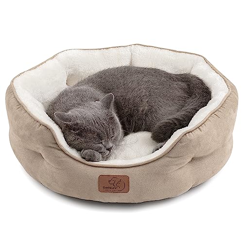 dog bed