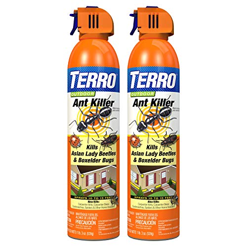 terro ant killer