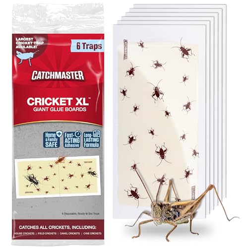 pest glue traps